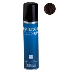 TOUCH UP BROWN (ΚΑΣΤΑΝΟ) 75ML